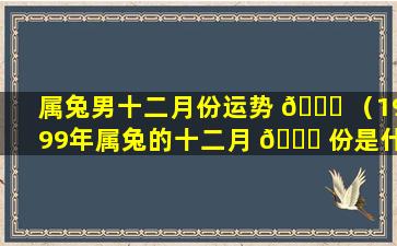 属兔男十二月份运势 💐 （1999年属兔的十二月 🐎 份是什么命）